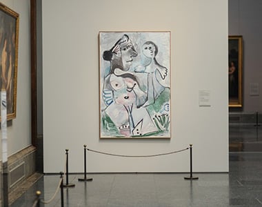 Conociendo a Picasso