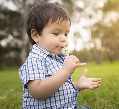 Cómo saber si tu hijo es alérgico al polen