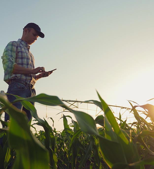 “Smart Agro”, la revolución sostenible del sector agroalimentario