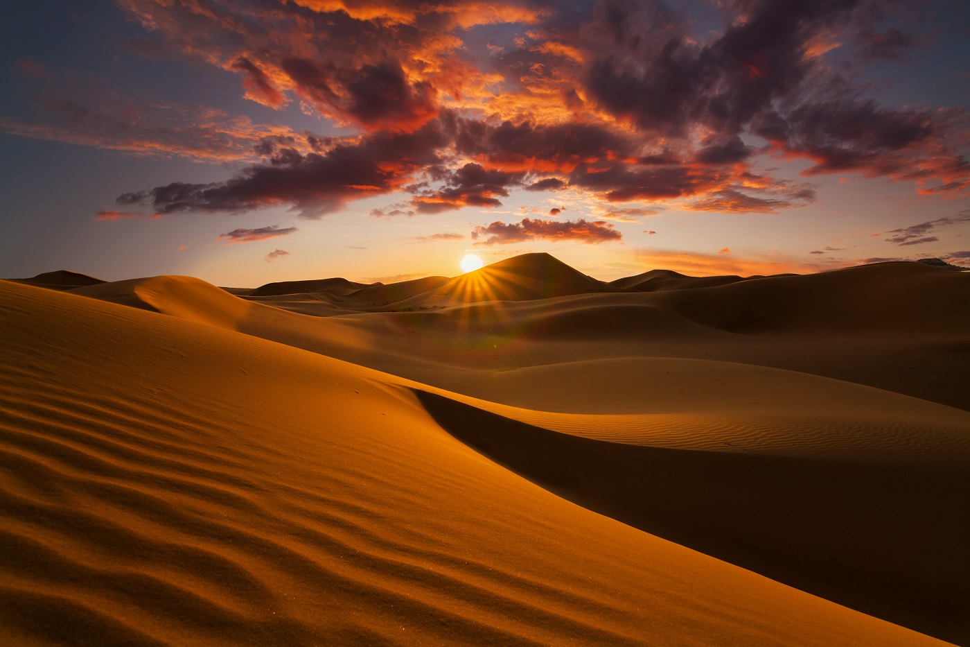La vida secreta de los desiertos