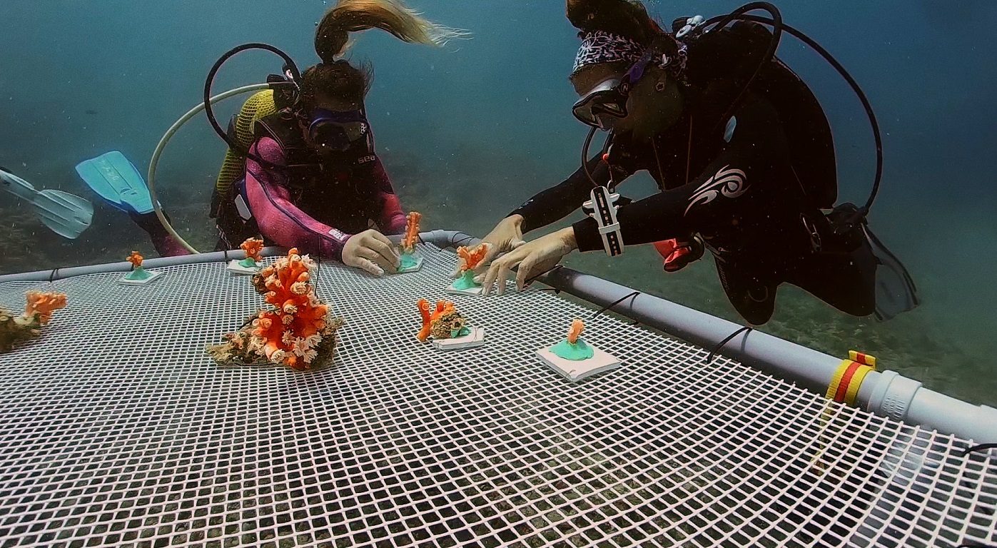 SOS Corales, salvamento a 50 metros de profundidad