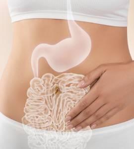 Microbiota intestinal: qué es y cómo hay que cuidarla