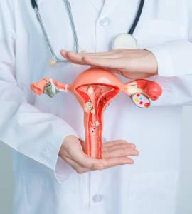 El quiste de ovario: un compañero silencioso que puede detectarse con revisiones
